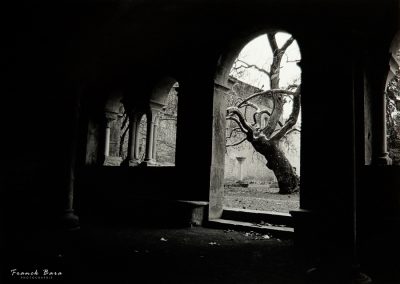 Photographe noir et blanc à Tarbes Séméac Hautes-Pyrénées (7)