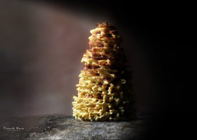 Gâteau à la broche, les Délices de Gilou