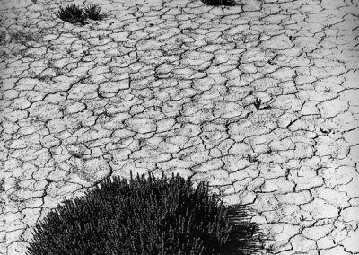 Nature noir et blanc Tarbes Séméac Hautes-Pyrénées